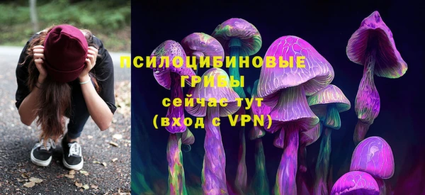 прущий лед Аркадак
