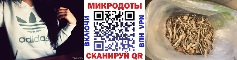 Галлюциногенные грибы Psilocybe  Ногинск 